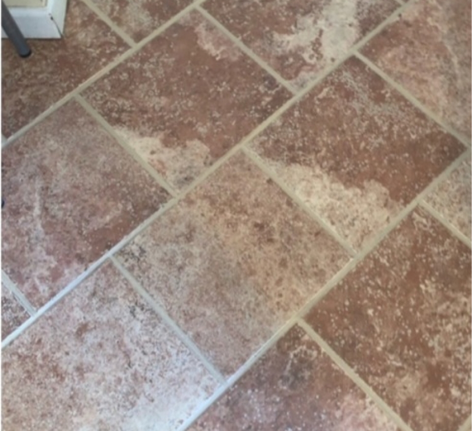 Grout Cleaning Before