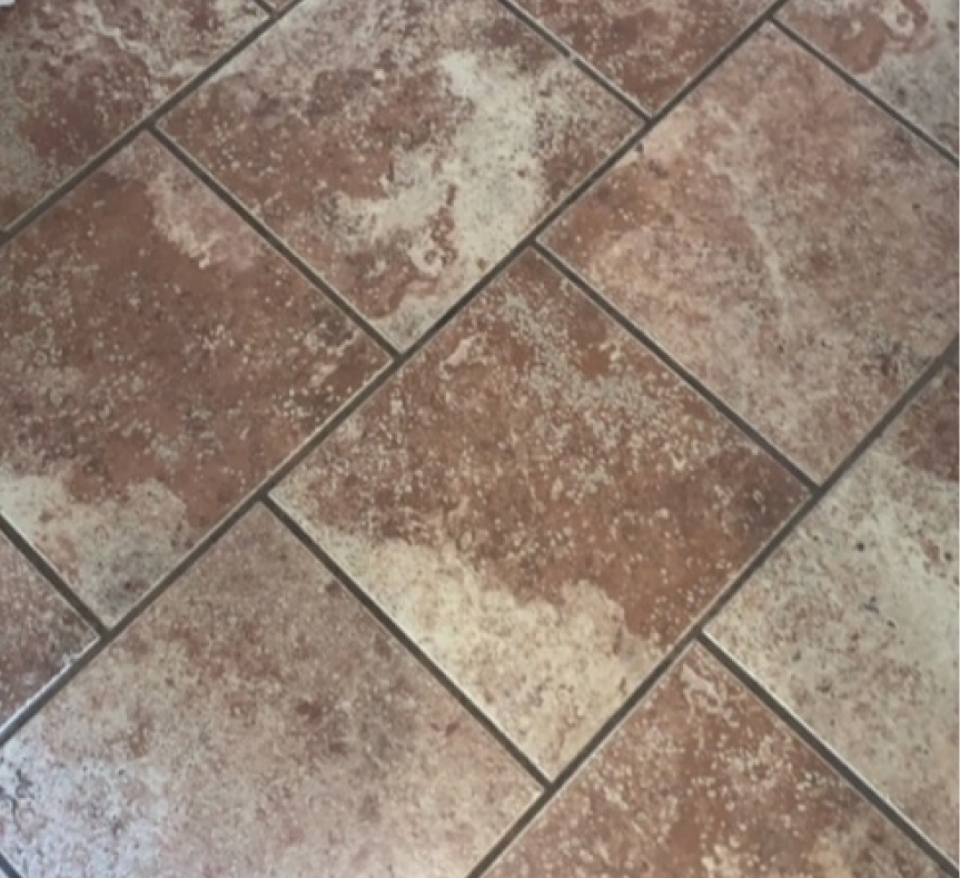 Grout Cleaning Before