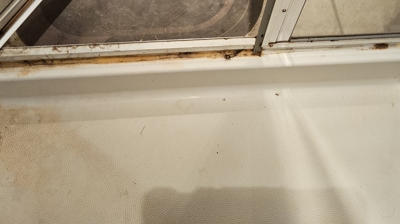 Before & After Photo