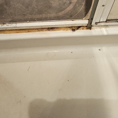 Before & After Photo