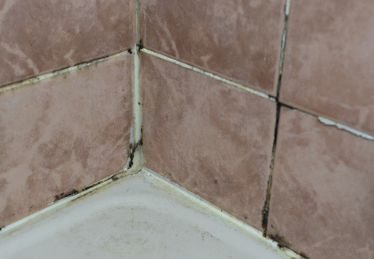 How Hard Water Leads To More Tile Cleaning And Recaulking The Grout Medic - How To Remove Black Mold From Bathroom Grout