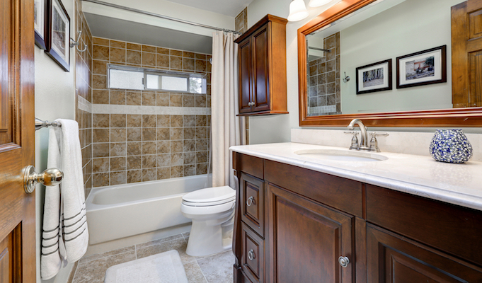 Traditional Bathroom In Brown Tones With Skylight