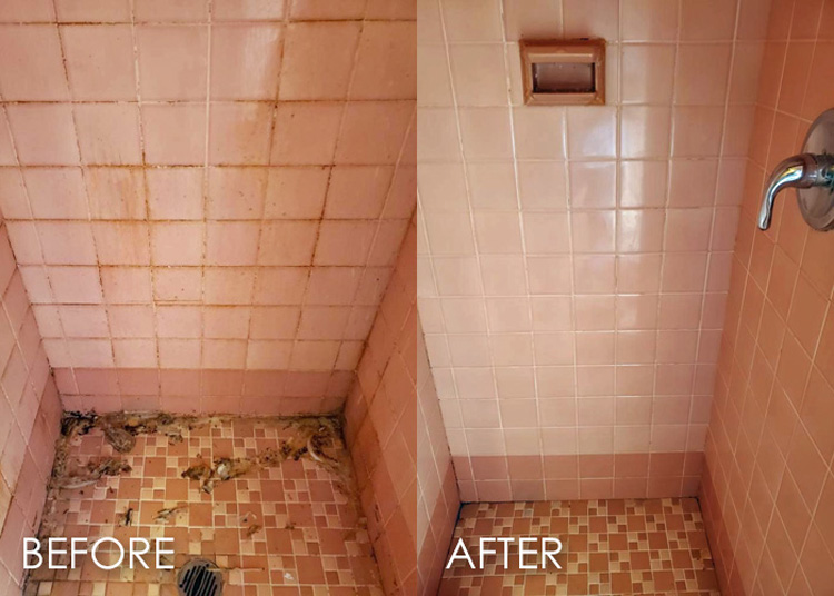 We'll repair your cracked grout in a hurry!