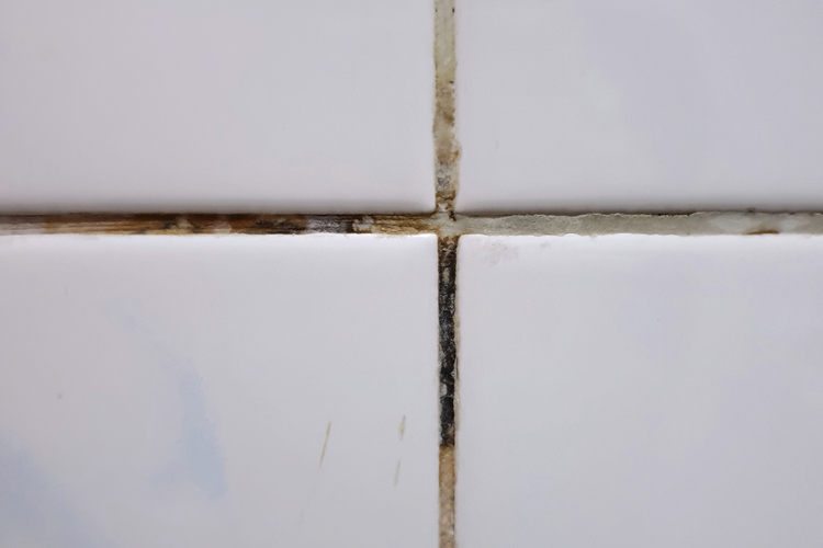 Why is my grout changing color?